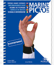 Marine Picto Diving Signals