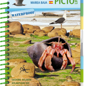 Marine Picto Life Low Tide